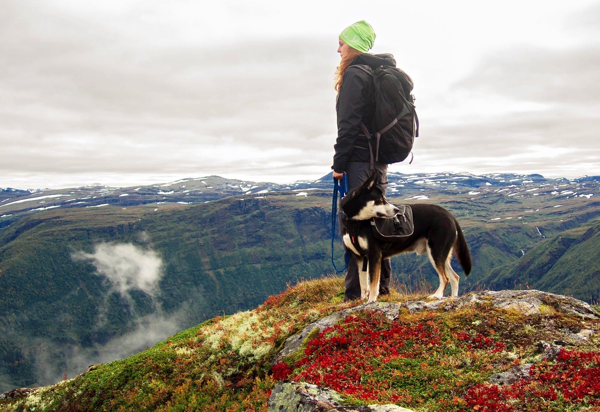 dog-and-girl-hiking